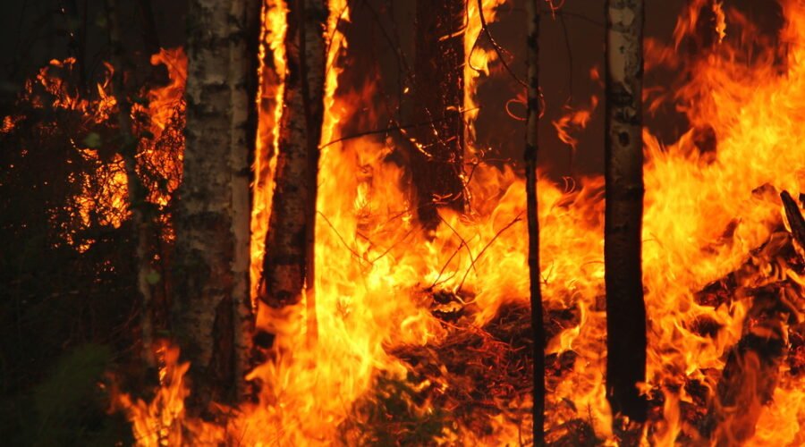 The Rising Inferno: Confronting America’s Escalating Wildfire Crisis