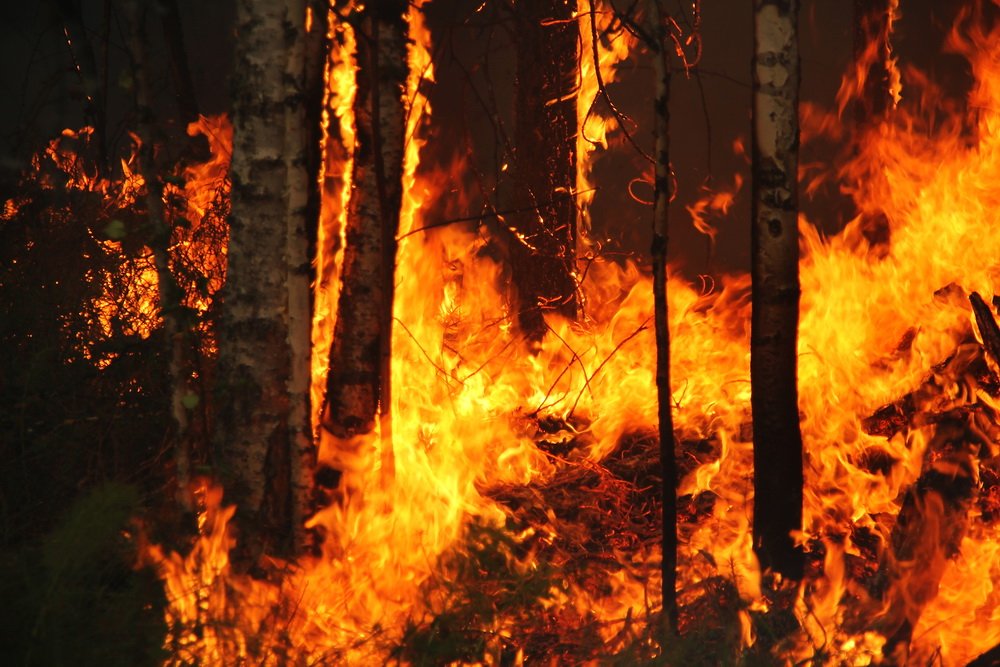The Rising Inferno: Confronting America’s Escalating Wildfire Crisis